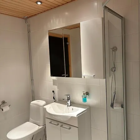 Appartement Snowstar *
