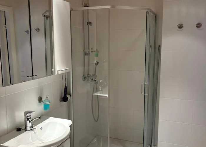 Διαμέρισμα Snowstar Levi